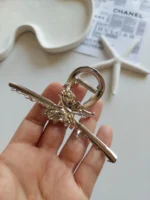 کلیپس مجلسی سیلور پروانه - Image 4