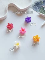 مینی کلیپس پلومریا ( ۲سانتی ) - Image 6