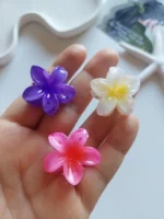 مینی کلیپس پلومریا ( ۲سانتی ) - Image 5