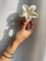 کلیپس پلومریا صدفی - Image 2