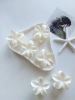 کلیپس پلومریا صدفی