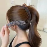 کلیپس آبشاری پلنگی - Image 3