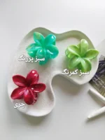 کلیپس پلومریا آبرنگی - Image 6