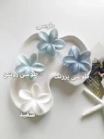 کلیپس پلومریا آبرنگی - Image 5