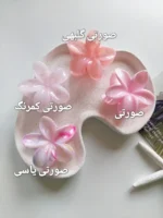 کلیپس پلومریا آبرنگی - Image 4