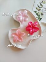 کلیپس پلومریا آبرنگی - Image 5