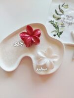 کلیپس پلومریا آبرنگی - Image 6