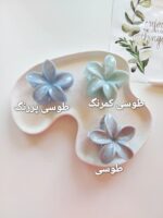 کلیپس پلومریا آبرنگی - Image 7