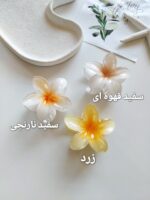 کلیپس پلومریا سایز بزرگ ( 8 سانت ) - Image 3