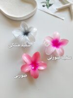 کلیپس پلومریا سایز بزرگ ( 8 سانت ) - Image 6