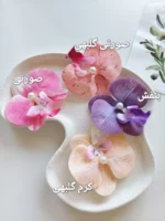 گیره انبری ارکیده - Image 5