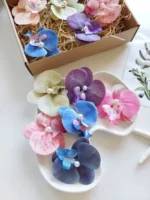 گیره انبری ارکیده