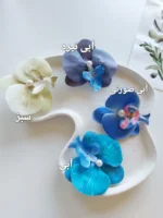 گیره انبری ارکیده - Image 6