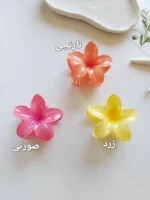 کلیپس پلومریا سایز بزرگ (۸سانت) - Image 4